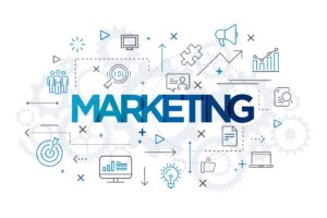 Marketing Expert photo from Adobe Stock